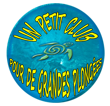 Calypso plong&eacute;e &agrave; deshaies